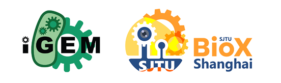 211115igem1.png