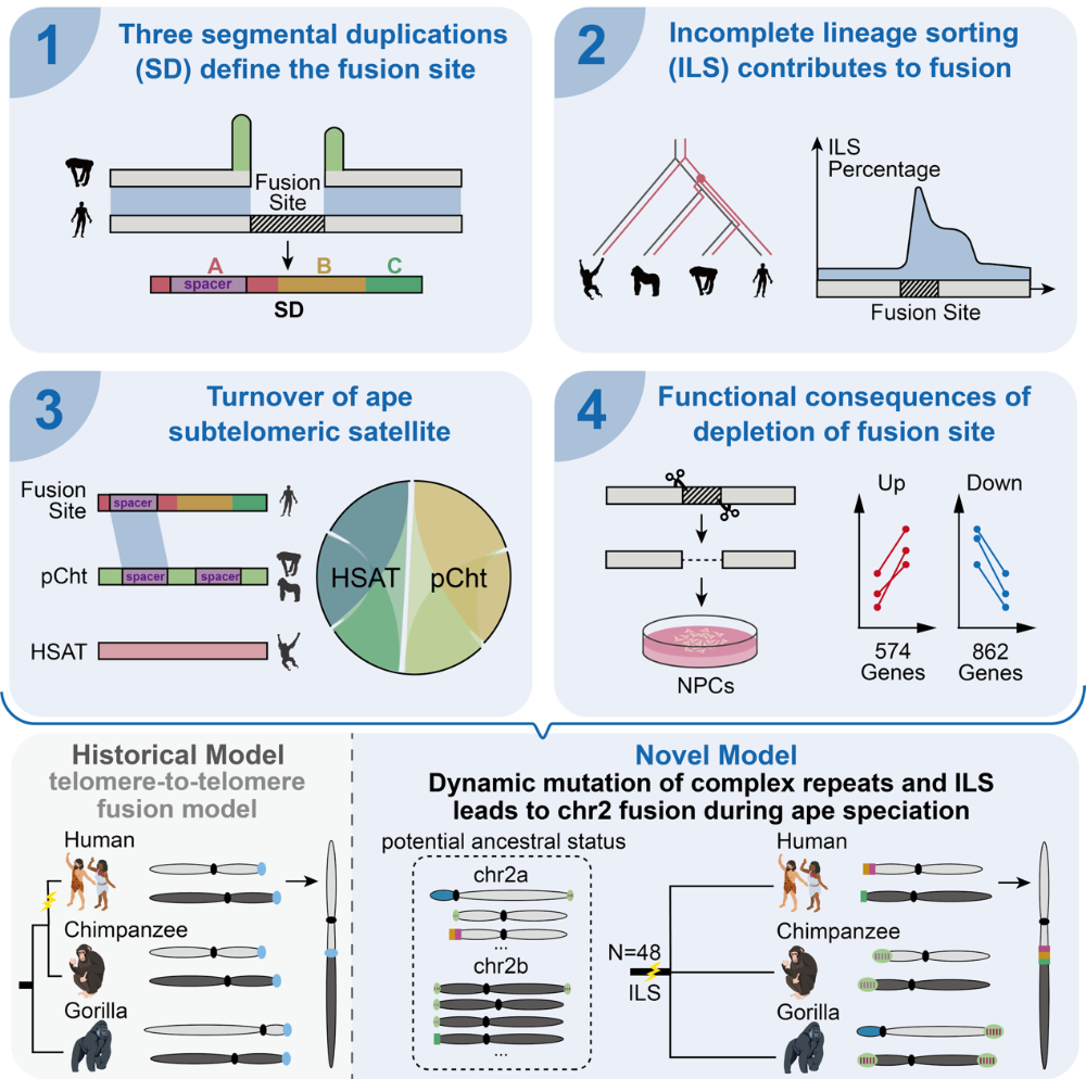 251203毛亚飞2.png 251203毛亚飞2.png